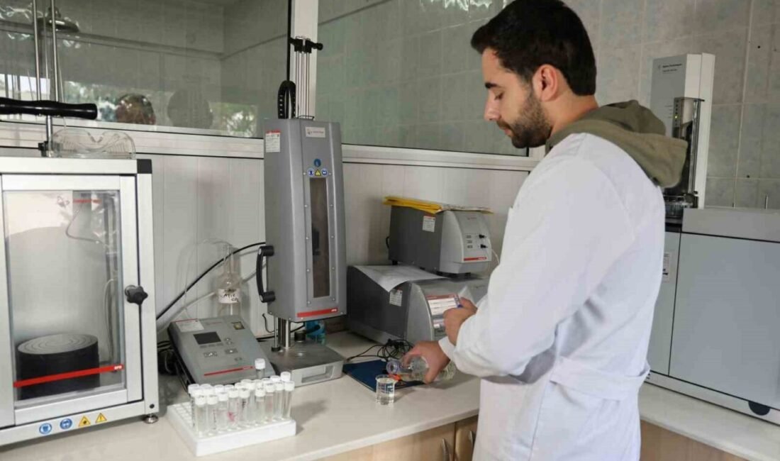 Çukurova Üniversitesi Gıda Mühendisliği Bölümü Öğretim Üyesi Prof. Dr. Turgut