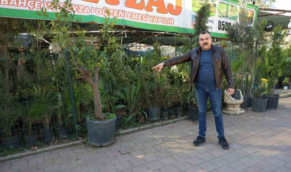 Adana’da kimliği belirsiz bir şahıs, peyzajcıdan 6 çam fidanı, 1