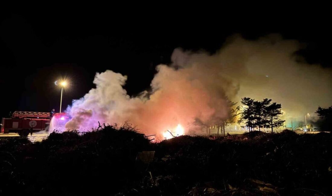 Antalya’nın Gazipaşa ilçesinde her türlü atığın dökülerek çöplük haline geldiği,