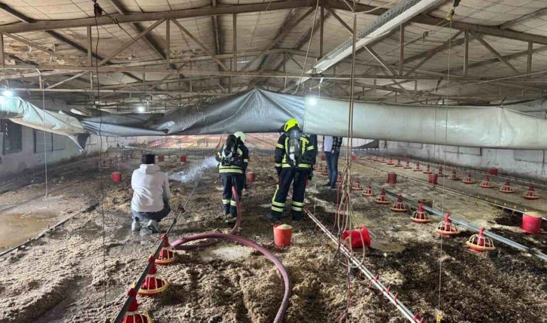 Mersin’in Tarsus ilçesinde boş olan tavuk üretim merkezinde yangın çıktı.