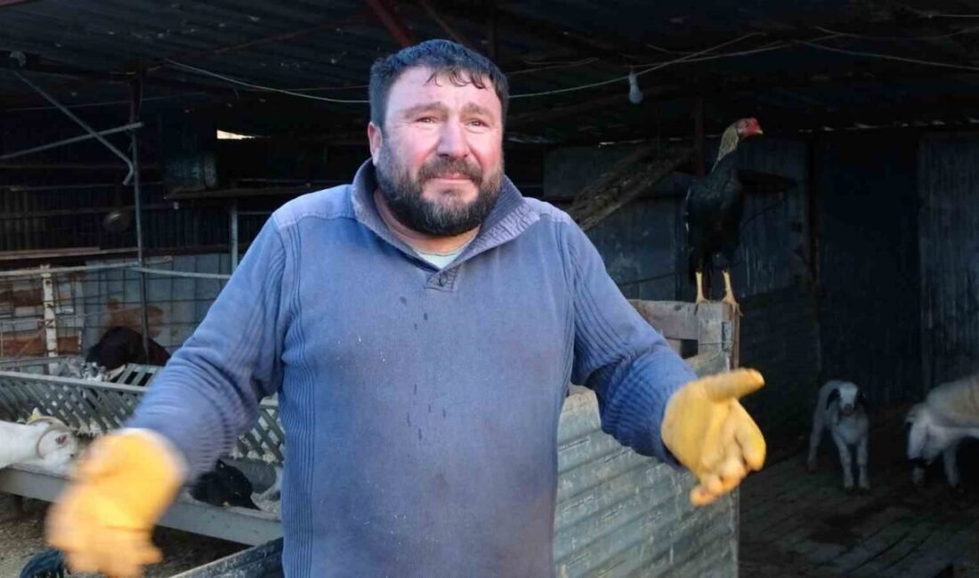 Antalya’da 2020 yılında meydana gelen trafik kazasında diğer aracın sürücüsüne