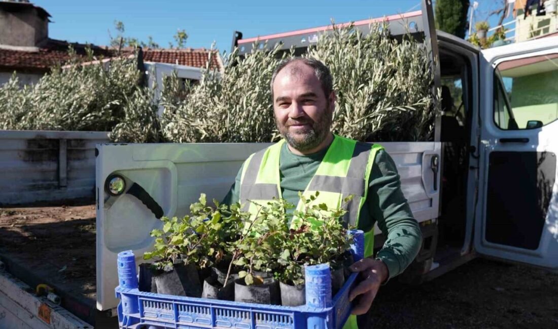 Antalya Büyükşehir Belediyesi, Temmuz ayında Serik ilçesi Yumaklar Mahallesi’nde çıkan