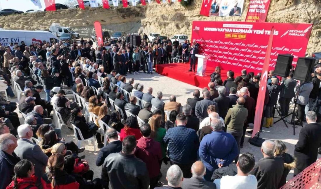 Adana Büyükşehir Belediyesi, sokak canlıları sorununun insani çözümü için bütün