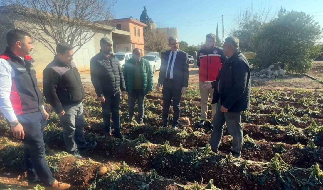 Adana İl Tarım ve Orman Müdürü Mehmet Nuri Kökçüoğlu, gece
