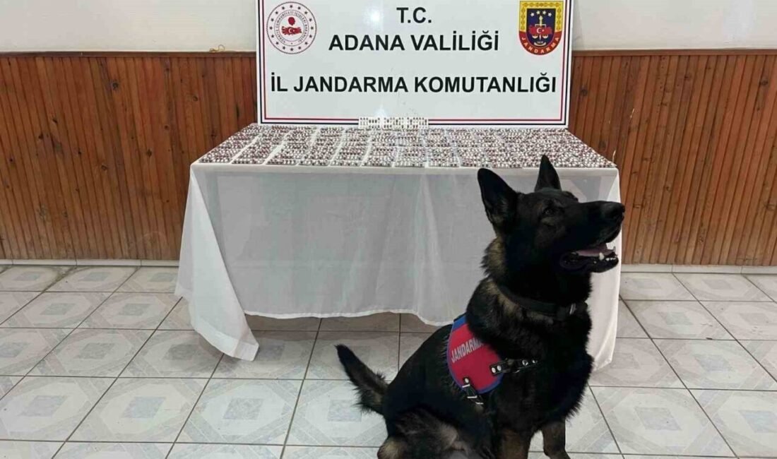 Adana’da uyuşturucu operasyonunda 1680 hap ele geçirildi. İl Jandarma Komutanlığı