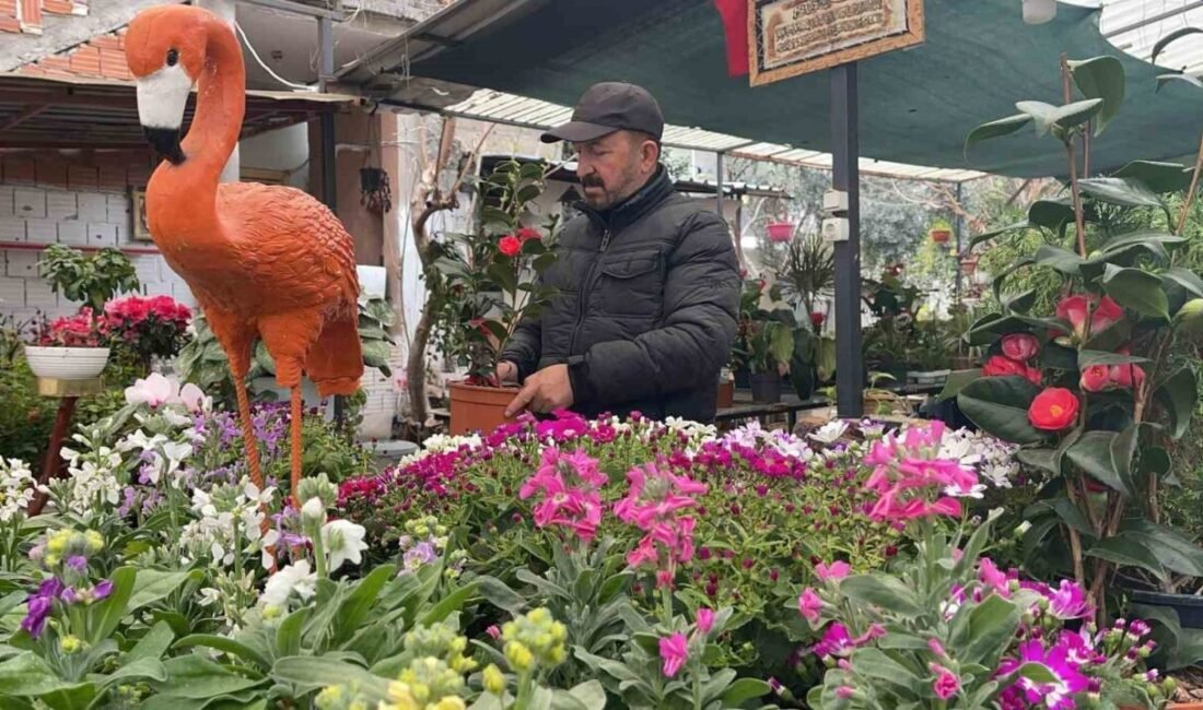 Osmaniye’de vefat eden ağabeyinden kalan çiçekçi dükkanını botanik kafeye çeviren