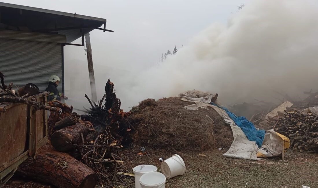 Hatay’da iş yerinin odunluğunda çıkan yangın itfaiye ekipleri tarafından söndürüldü.