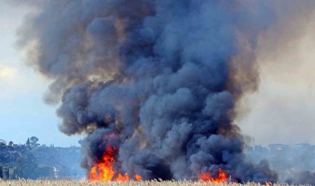 Antalya’nın Muratpaşa ilçesinde sazlık alanda çıkan yangın ev ve seralara