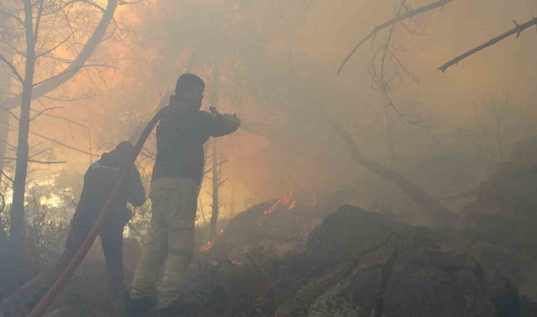 Antalya’da yüksek gerilim hattındaki tellerin kopması nedeniyle orman yangını çıktı.