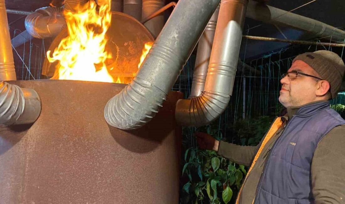 Antalya’nın Serik ilçesinde çiftçiler, geceleri seralarındaki ürünleri don tehlikesine karşı