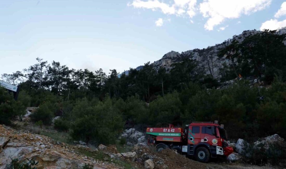 Antalya’da çıkan orman yangını kontrol altına alındı. Yangında 2 hektarlık