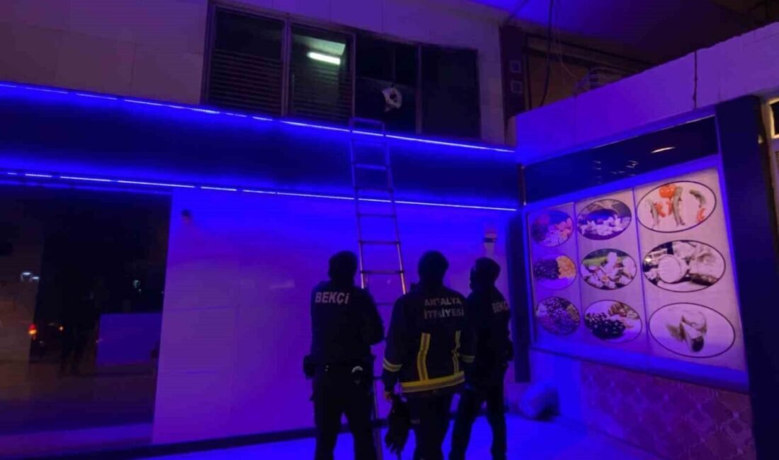 Antalya’da bir bankanın makine dairesine giren kedi ekipleri alarma geçirdi.