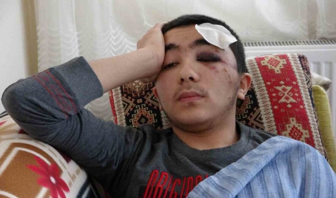 Isparta’da başıboş köpeklerden kaçmaya çalışan 16 yaşındaki hafız, panikle dengesini