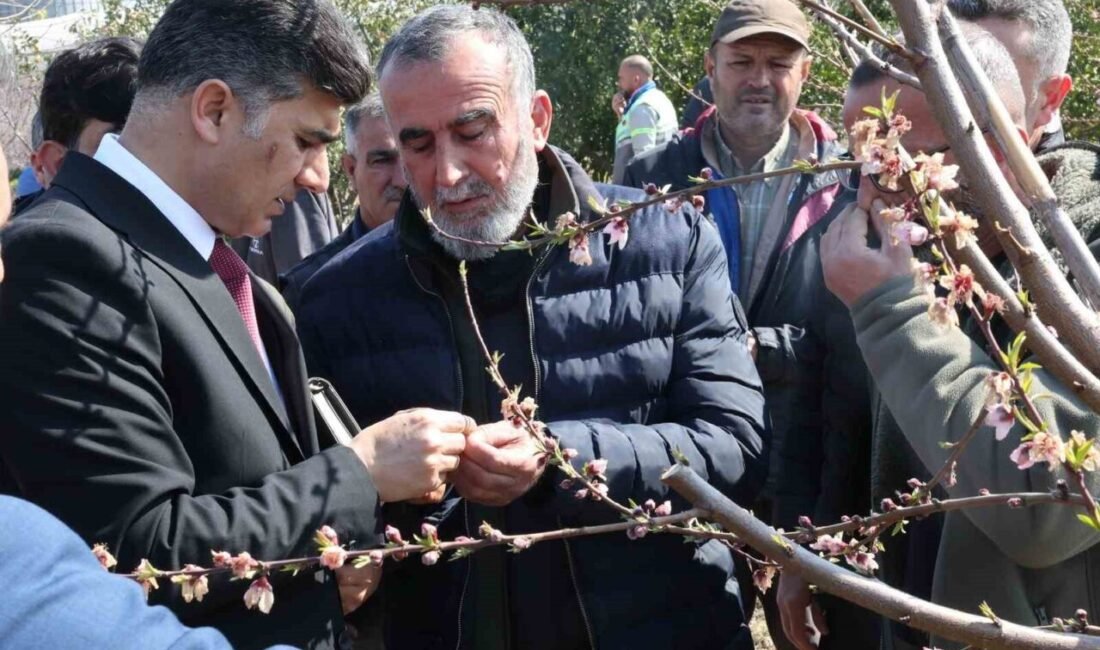 Akdeniz Kaymakamı ve Belediye Başkan Vekili Zeyit Şener, Akdeniz İlçe