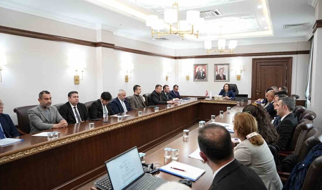 Burdur Valisi Tülay Baydar Bilgihan, hayvan bakım evlerinin iyileştirilmesi ve