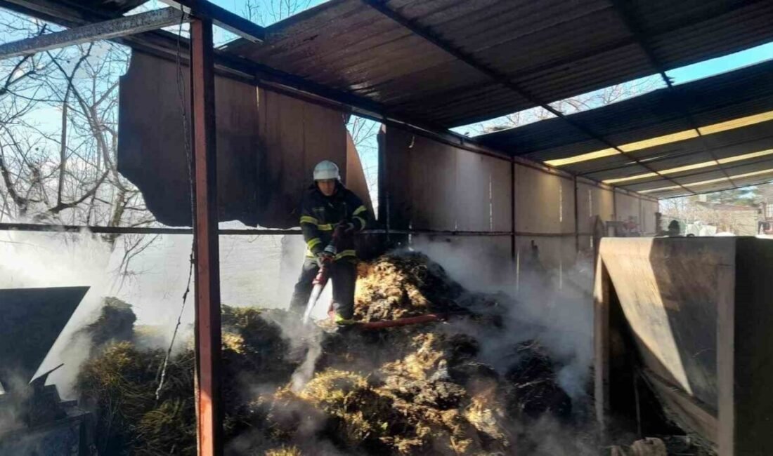 Burdur merkez Menderes Mahallesinde bulunan bir çiftlikte çıkan samanlık yangınında