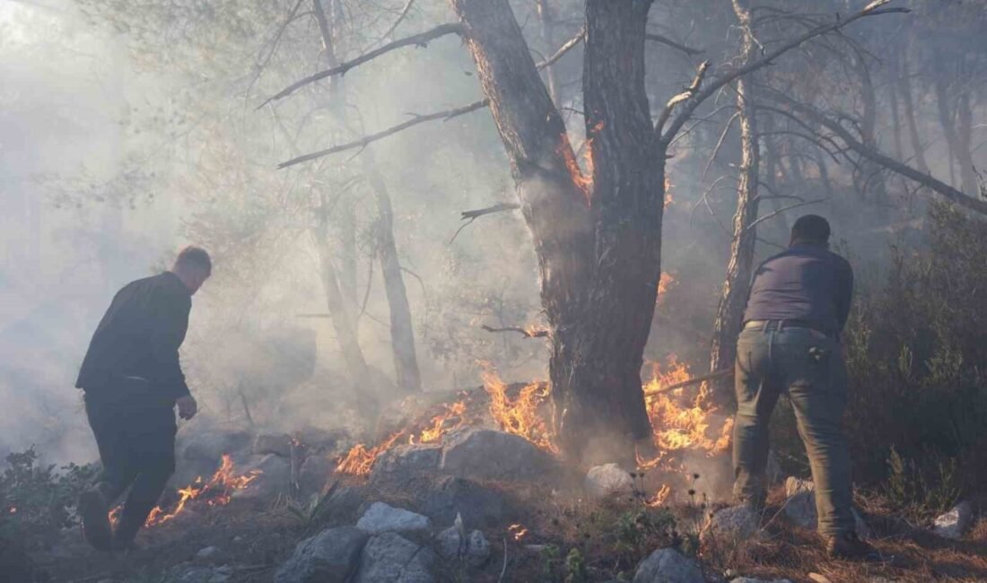 Antalya Büyükşehir Belediyesi İtfaiyesi ekipleri, Konyaaltı ilçesi Tünektepe mevkiindeki ormanlık