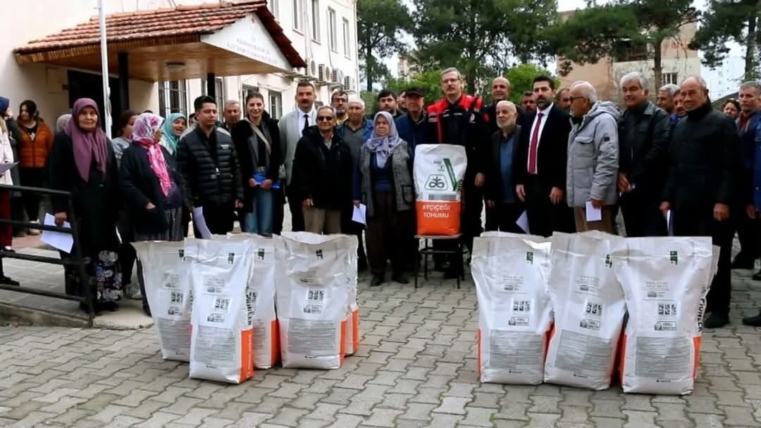 Adana’nın Kozan ilçesinde 145 çiftçiye yüzde 75 hibeli ayçiçeği tohumu
