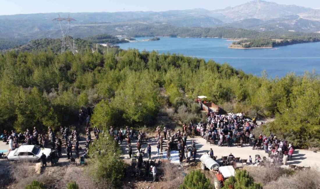 Çukurova’da yaşanan aşırı kuraklık nedeniyle Adana’nın Kozan ve İmamoğlu ilçelerinde