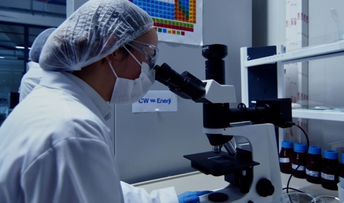 Yenilenebilir enerji sektöründe faaliyet gösteren CW Enerji bünyesinde çalışanların yüzde