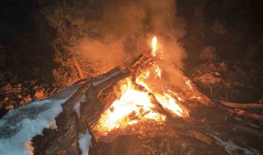 Adana’nın Feke ilçesinde çıkan orman yangını ekiplerin müdahalesiyle söndürüldü. Yangın,