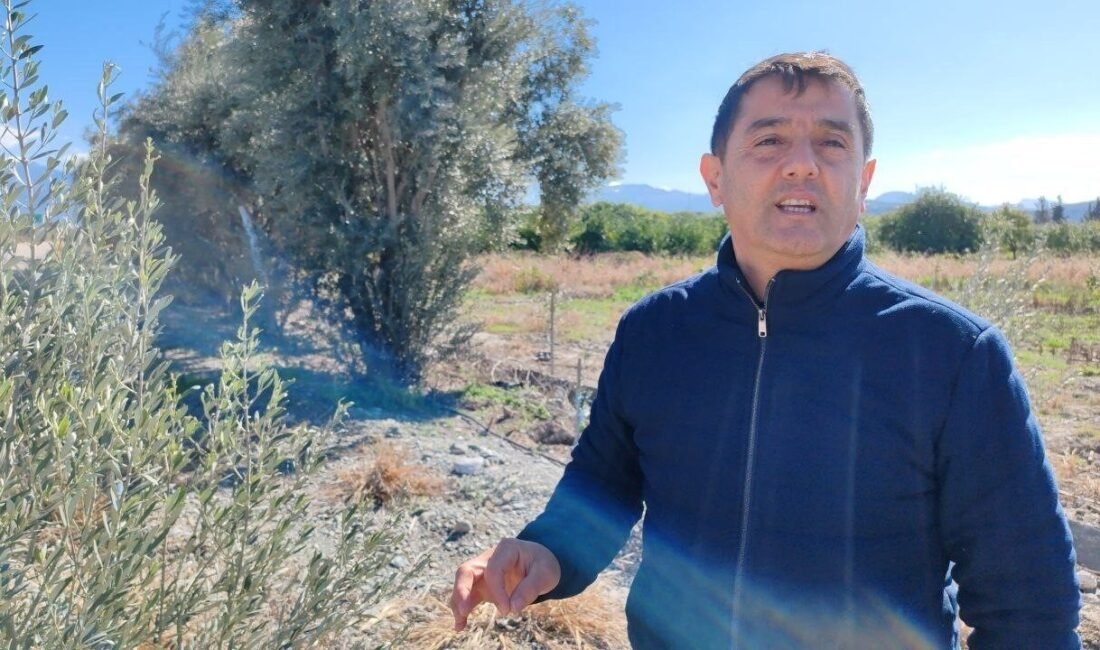 Hatay’ın Erzin ilçesinde çiftçilik yaparak geçimini sağlayan Süleyman Bakıcı, fidan