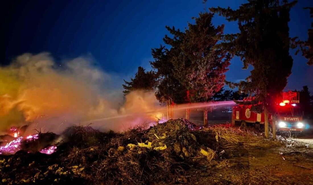 Antalya’nın Gazipaşa ilçesinde her türlü atığın dökülerek çöplük haline geldiği