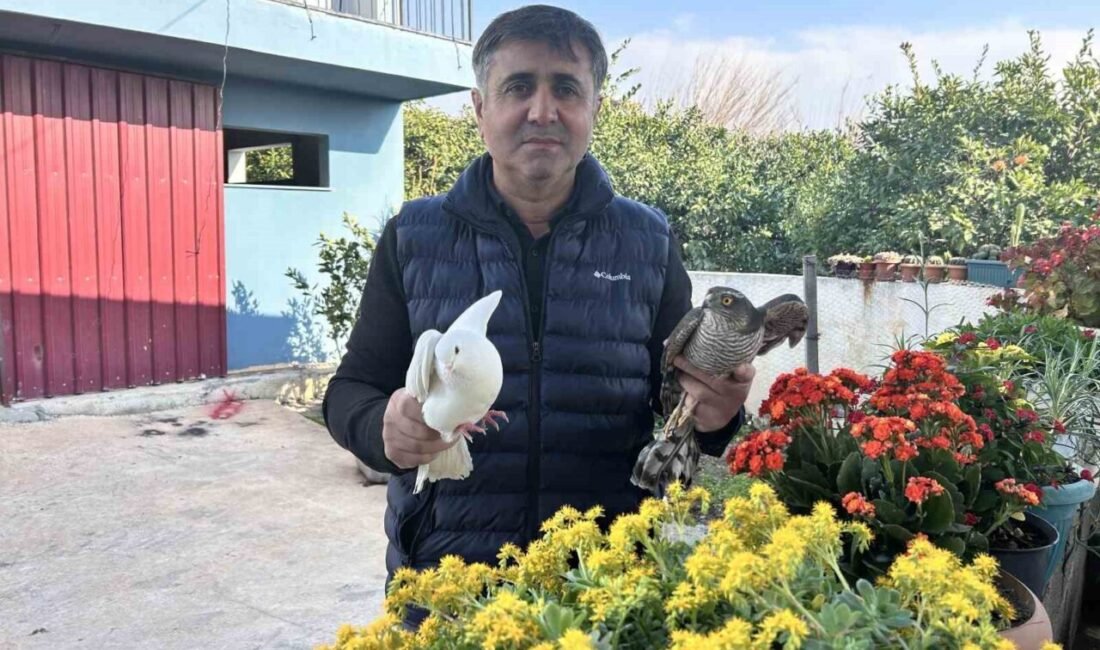 Hatay’da güvercinlerine saldırdığı için yakalamak için internetten izleyerek düzenek kuran