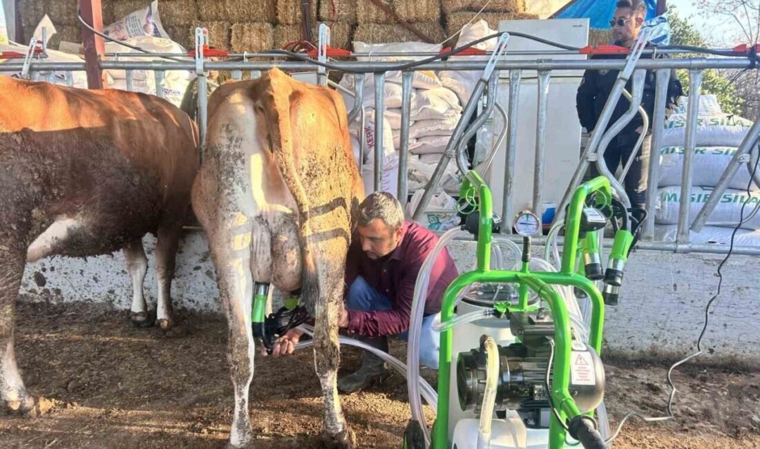 Hatay’da besicilere yüzde 95 hibe destekli süt sağım makinesi ve
