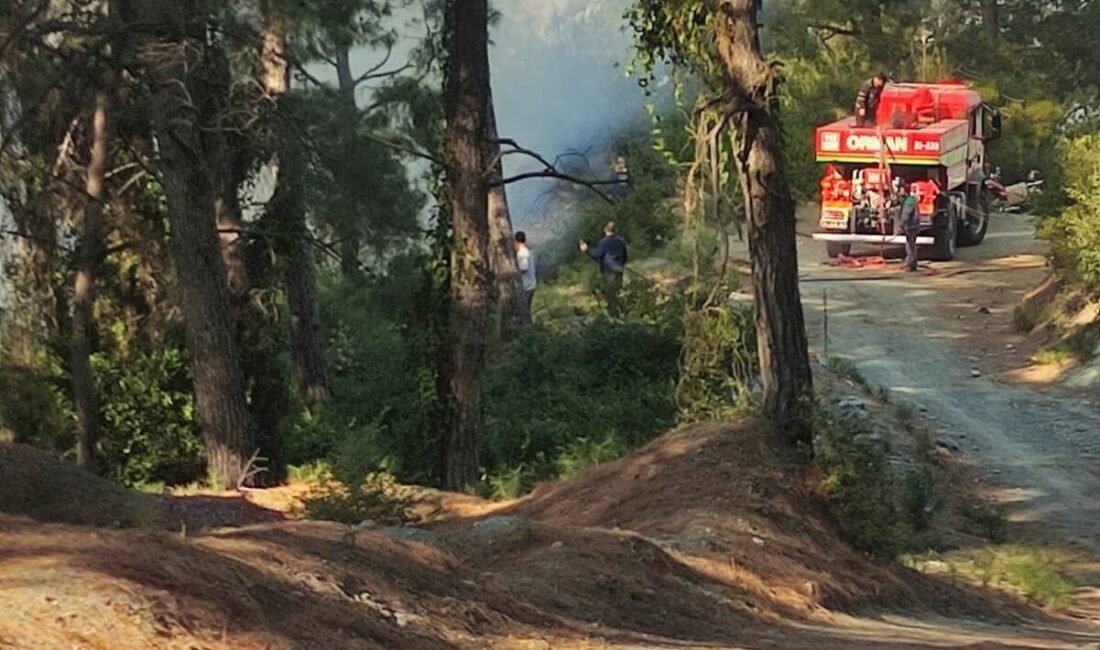 Hatay’ın Payas ilçesine bağlı Sincan Mahallesi’ndeki ormanlık alanda örtü yangını