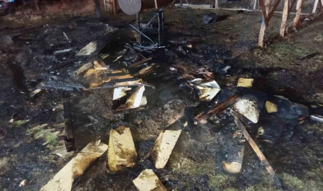 Isparta’da iki güvercin kulübesinde çıkan yangında 60 adet güvercin telef