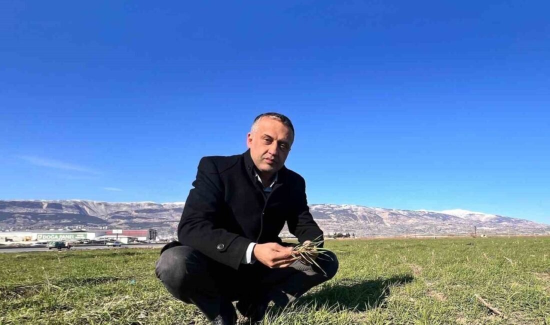 Kahramanmaraş Ziraat Odası Başkanı Mehmet Çetinkaya, yaşanan zirai don ve