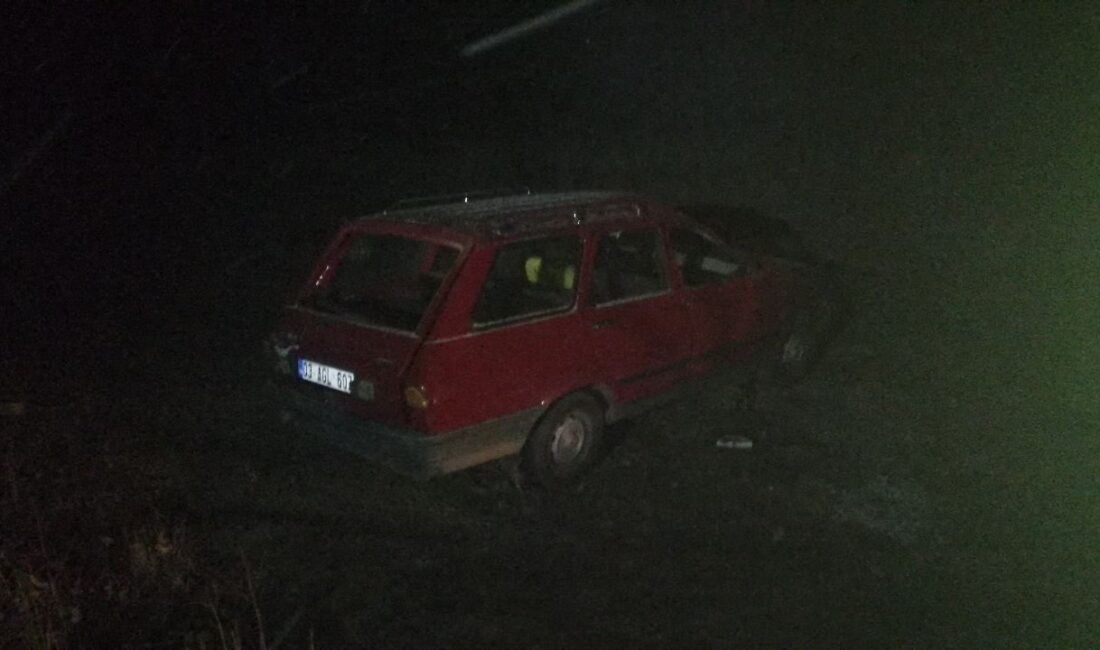 Isparta’nın Yalvaç ilçesinde köpeğe çarpmamak için manevra yapan otomobil tarlaya