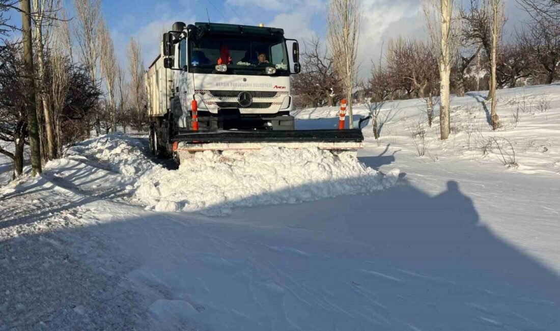 Mersin’in Mut ilçesinde yüksek kesimlerinde etkili olan kar yağışıyla birlikte