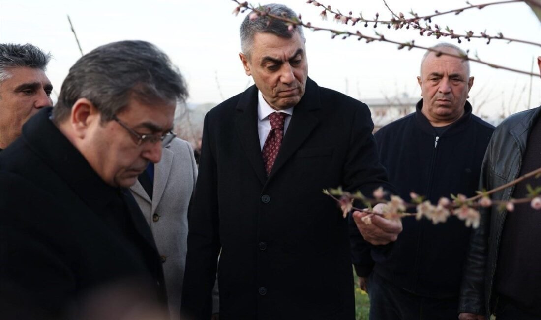 Mersin Valisi Atilla Toros, kentte yaşanan zirai dondan etkilenen arazilerde