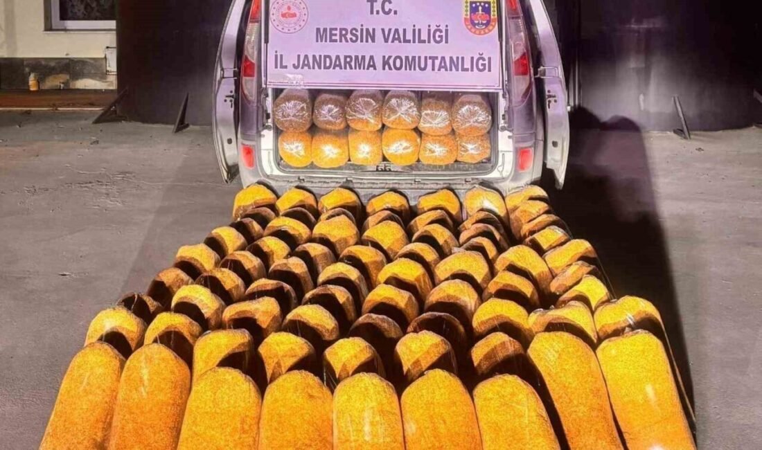 Mersin’de jandarma ekiplerinin yaptığı çalışmada 580 kilogram kaçak tütün ele