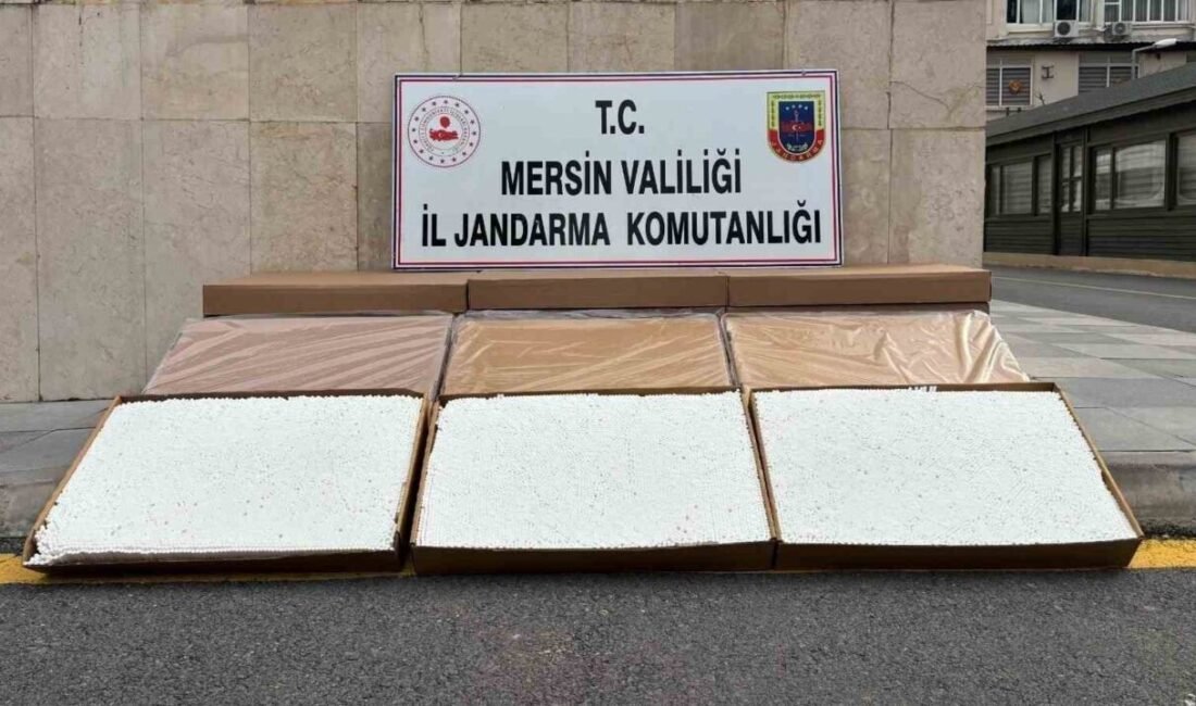 Mersin’de jandarma ekiplerinin bir otomobilde yaptığı aramada 84 bin adet