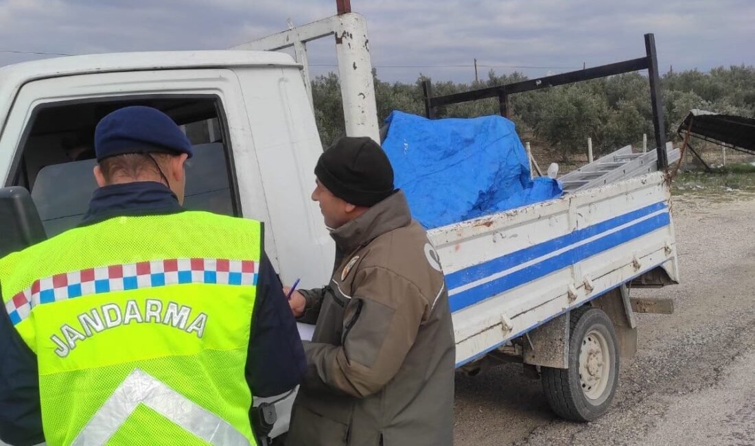 Mersin Orman Bölge Müdürlüğüne bağlı Mut Orman İşletme Müdürlüğünce, ormanların