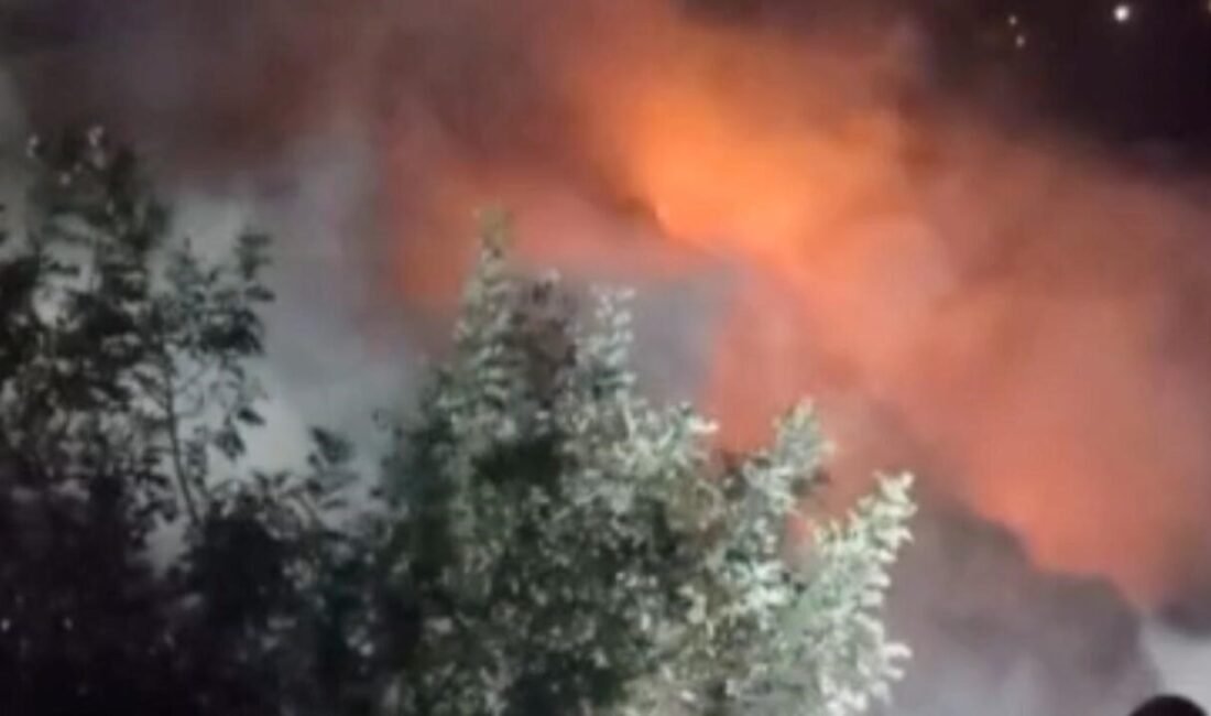 Mersin’in Erdemli ilçesinde otoyol şantiyesi çevresinde çalılıkta başlayan yangın itfaiye