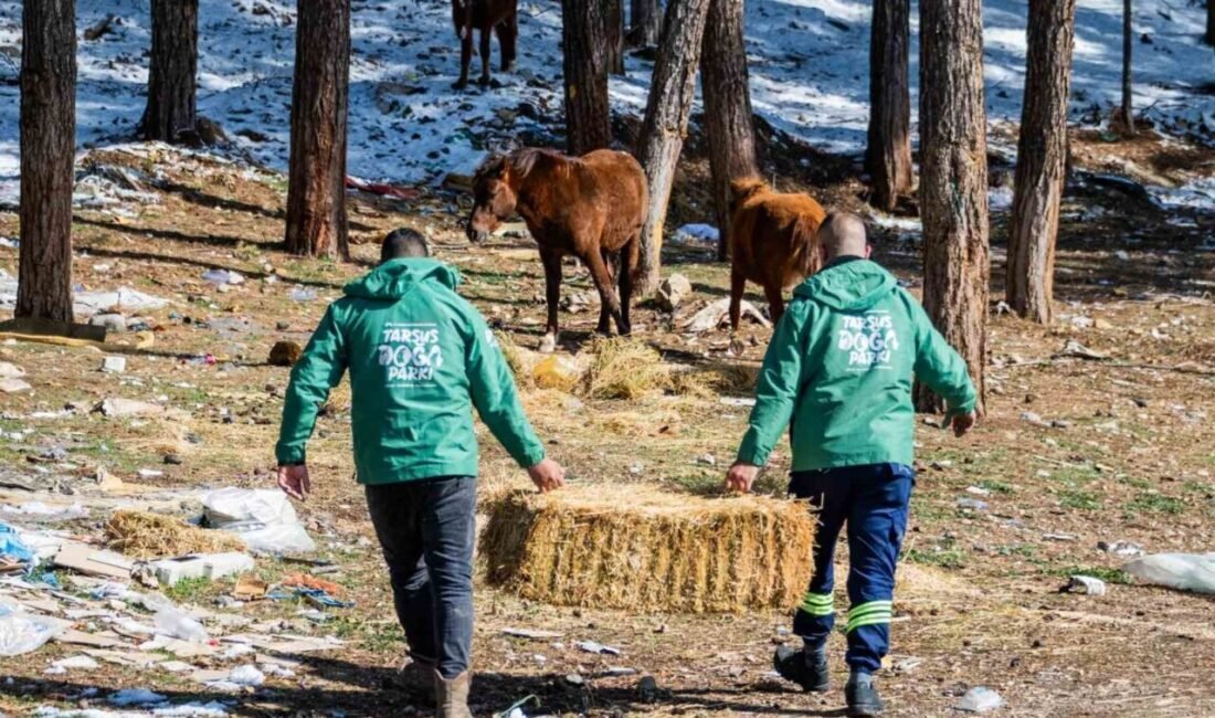 Mersin Büyükşehir Belediyesi ekipleri, Tarsus ilçesine bağlı Karboğazı mevkiinde yaşayan
