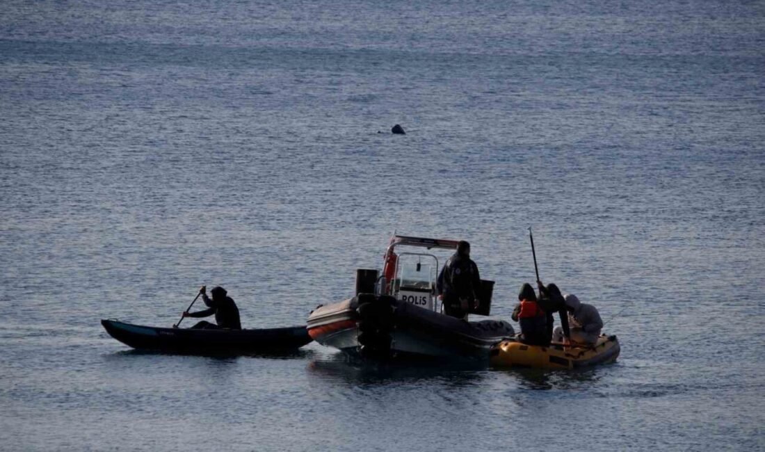 Antalya’da hobi amaçlı balık tutmak için botla denize açılan 3