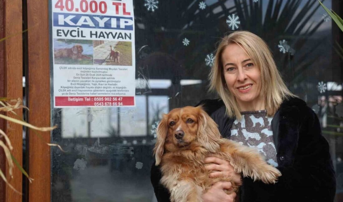 Hatay’ın Samandağ ilçesinde yaşayan Nergis Ekşi, 8 yıldır besledikleri ‘Çilek’