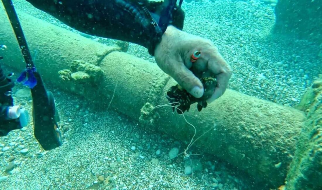 Akdeniz Üniversitesi’nden Prof. Dr. Mehmet Gökoğlu, dalış sırasında kopmuş misinanın