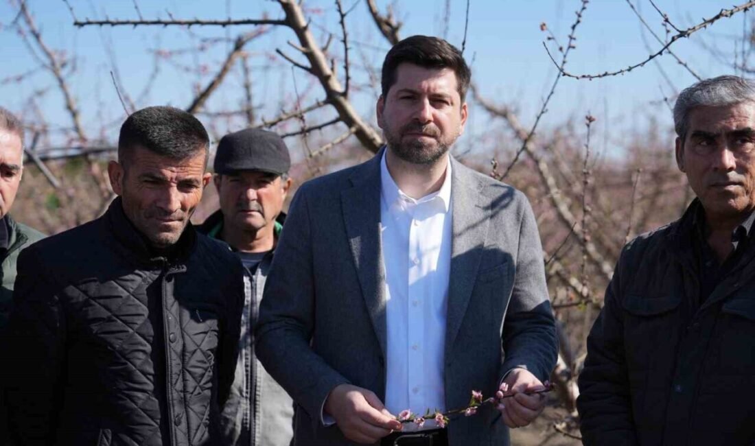 Tarsus Belediye Başkanı Ali Boltaç, kentte etkili olan soğuk hava
