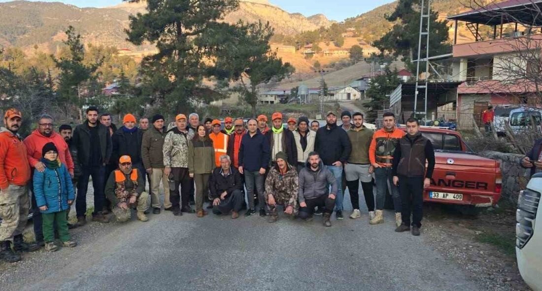 Mersin’in Tarsus ilçesinde sürek avı kapsamında 15 yaban domuzu öldürüldü.