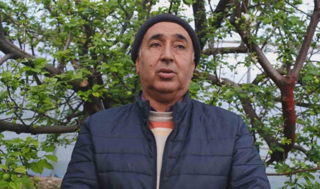 Mersin’in Mut ilçesinde eriğin kilosu 8 bin liradan alıcı buluyor.