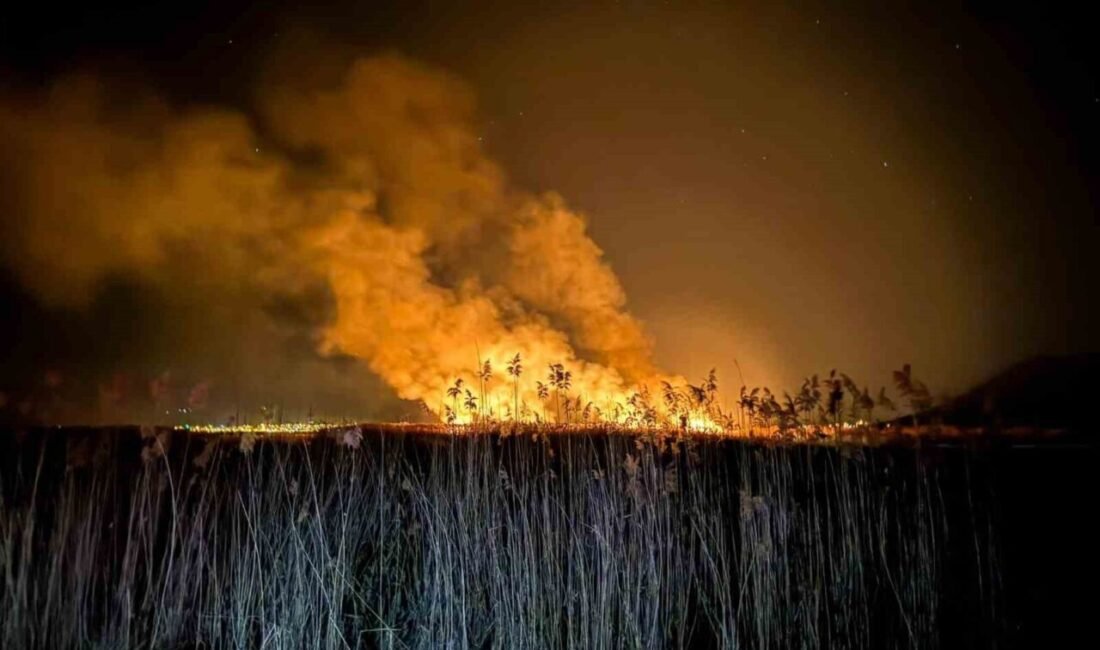 Burdur’un Gölhisar ilçesinde bulunan ve bölgedeki önemli sulak alanlarından biri