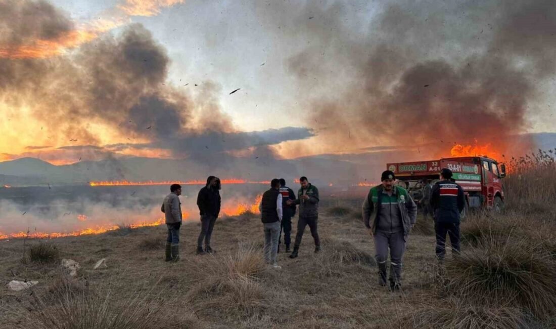Burdur’un Gölhisar ilçesinde, bölgenin önemli sulak alanlarından biri olan Yamadı