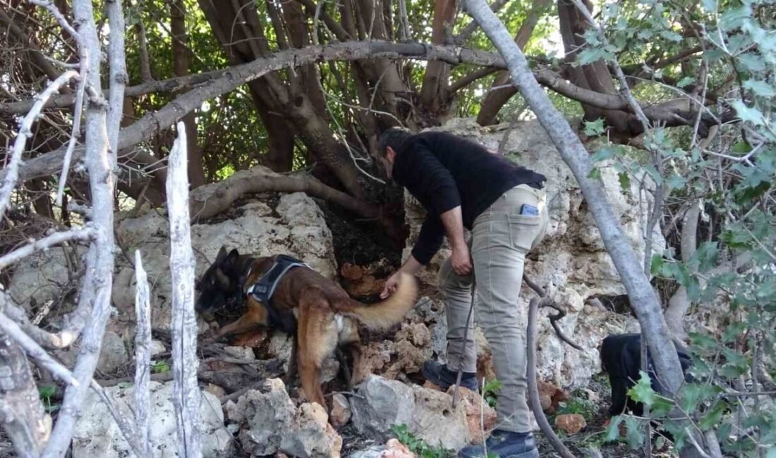 Antalya’da yaklaşık 9 aydır kayıp olarak aranan Ali Can Demirci’nin