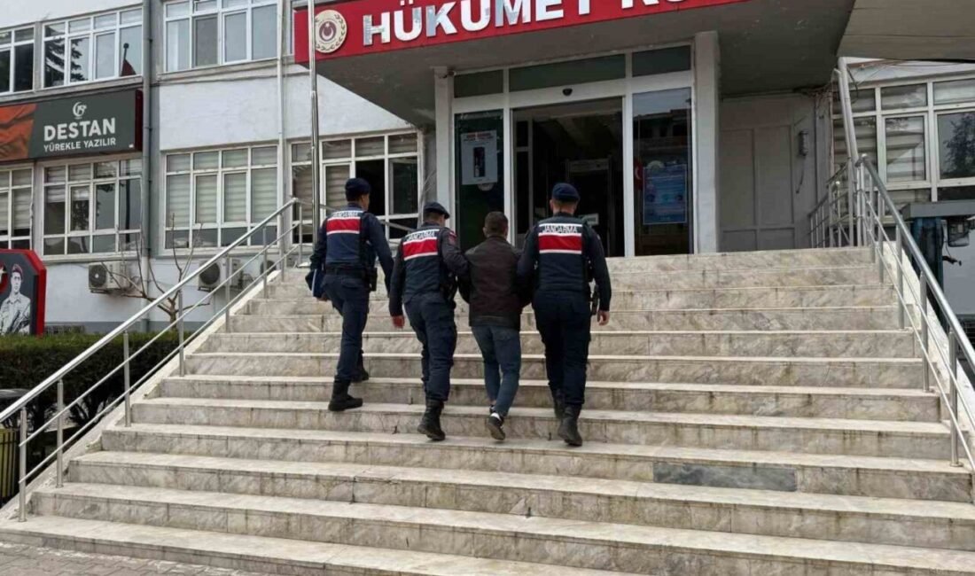 Mersin’de jandarma ekiplerinin yaptığı çalışmada 16 küçükbaş hayvanı çalan şüpheli